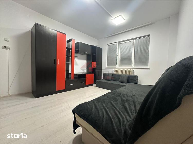 Inchiriere Apartament cu 2 camere Tatarasi - 5