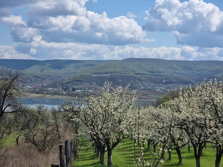 Pamant vanzare | Lac Zigoneni | Valea Lui Enache | Priveliște superba - 14
