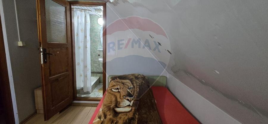 PENSIUNE IN CHISINEU CRIS - 16