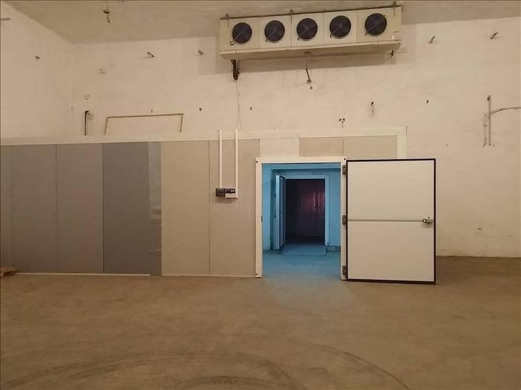 Spatii frigorifice refrigerare/congelare - 5