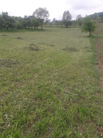 Teren Vladesti Priporu - 8