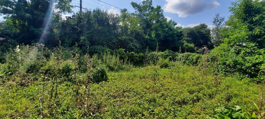 Teren intravilan zona Imparat Traian - 3