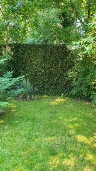 Teren cu locatie premium la liziera padurii Baneasa, in Sector 1, Bucuresti - 4