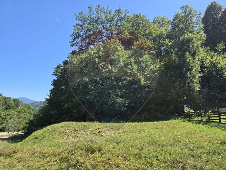 Teren 4,000mp Pascoaia / Soseaua Punctul Chiliilor - 2