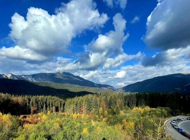 Aparthotel cu view superb Valea Prahovei - 4