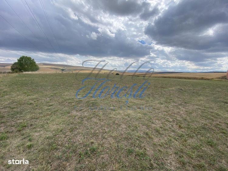 Teren de 1833 mp sat rediu - 1