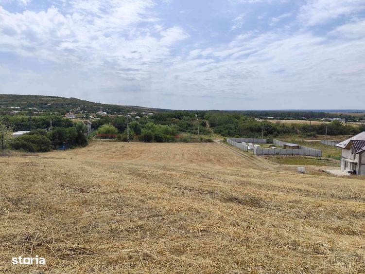 Simnicu de Sus, Lesile- 6050 mp teren intravilan - 3