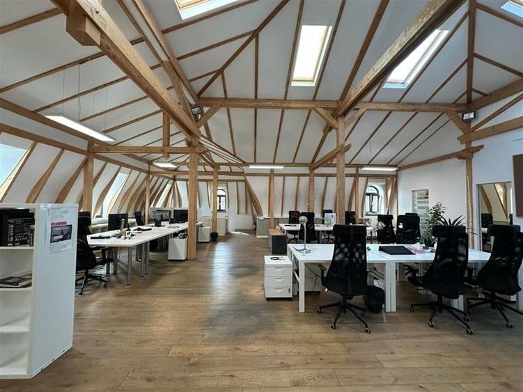 Spatii pentru birouri in vila - 233 mp - aproape km 0 - 9