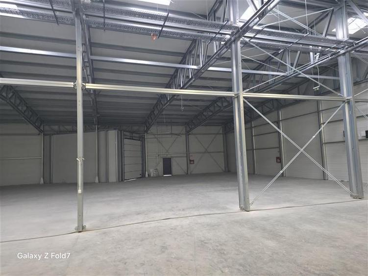 Inchiriere depozit/hala/spatiu industrial Mogosoaia - Buftea - 43