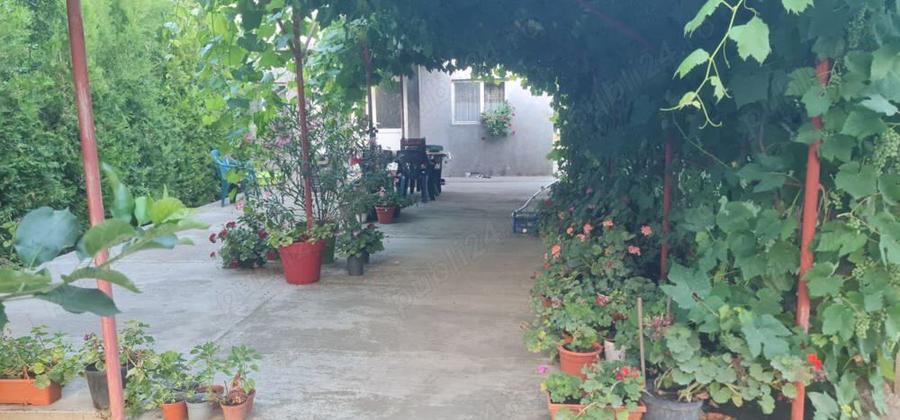 Casa + curte Chirnogi, jud.Calarasi - 2