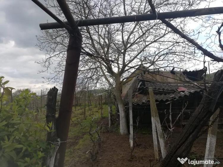 Casa de vanzare balabancea,tulcea - 1