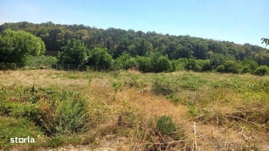 Vand teren in Ganeasa Ilfov, langa lac si padure. - 1