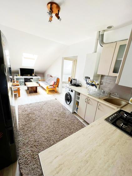 Apartament cu 3 camere, 55 mp, Valea Lupului - 4