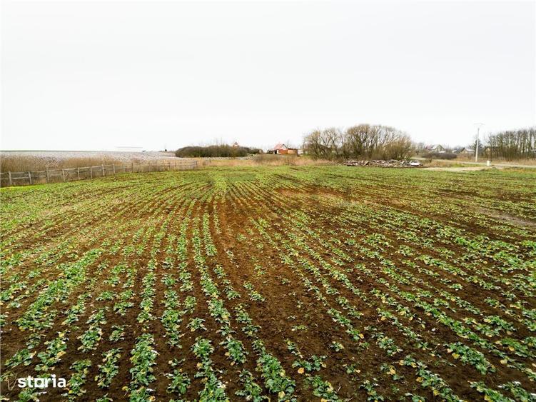 RECO . Teren extravilan 5000mp , 110ml front . - 6