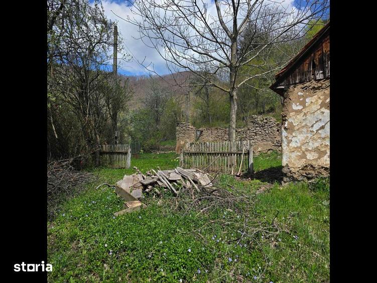Teren de vis cauta proprietar. - 6