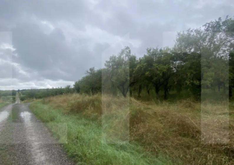 Teren cu poten?ial reziden?ial Simeria, Sfantu Gheorg - 1