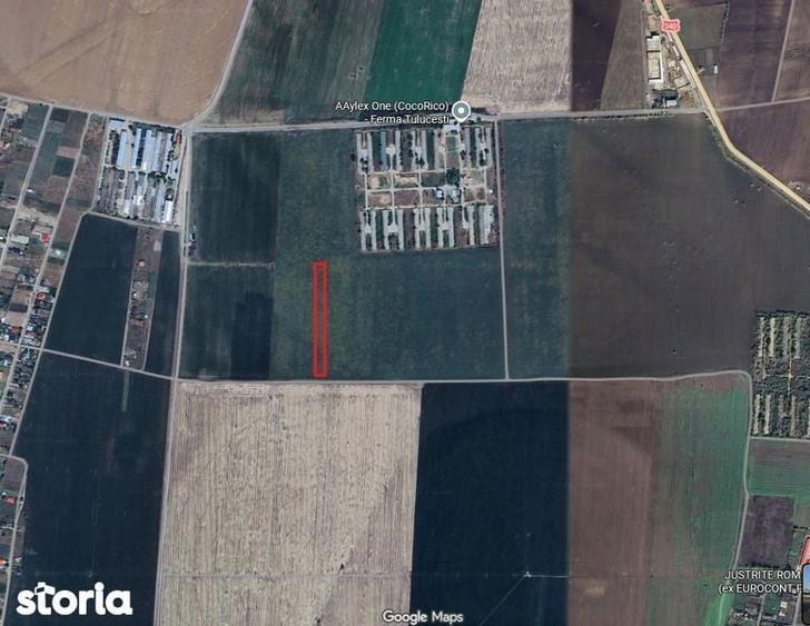 Teren de inchiriat langa ferma coco rico aproape de padurea Garboavele - 1