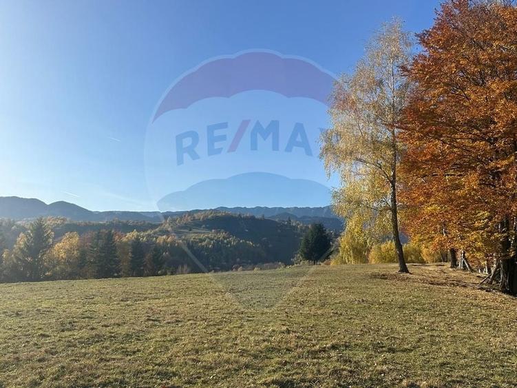 Oportunitate de investiție ! Teren de vis în Pestera - 125.370 mp - 19