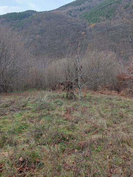 Vand/Schimb teren in zona Raului Mare, Retezat - 6