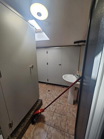 Proprietate speciala Dumbravita - casa individuala !! - 5