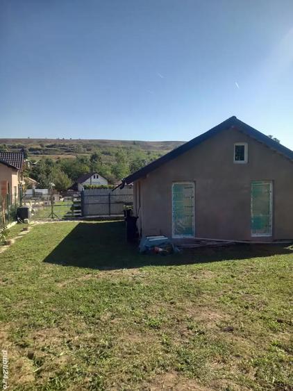 Casa de vacanta Calinesti Arges - 3