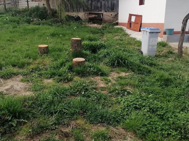 Casa renovata, 3 camere cu teren 900mp, pe E81, Floresti - 6