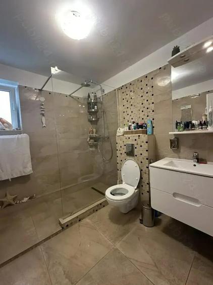 Agentia imobiliara VIGAFON vinde casa 3 camere Paltinis-Ienachita Vacarescu - 12