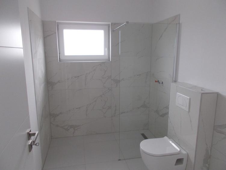 Duplex, intreg sau jumatate, Peciu Nou, parter, 4+4 camere, 674mp - 8