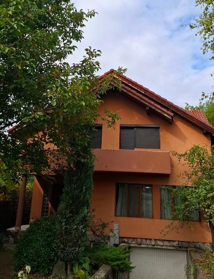 Casă și spatiu comercial  - 1