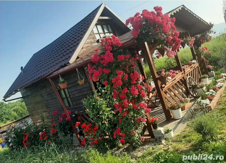 Casa ?i teren - 7
