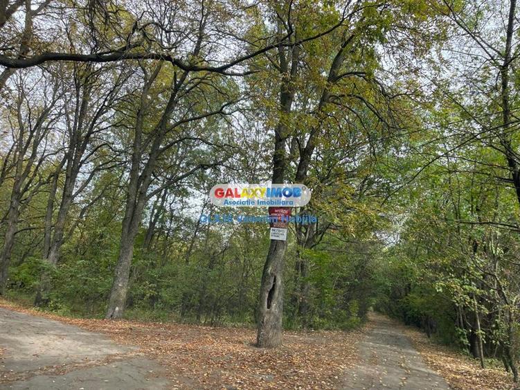 Vanzare teren 3300 mp Peris -deschidere padurea Scrovistea - 2