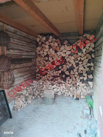Proprietate cu 2 case de vanzare in Tamasfalau! - 4