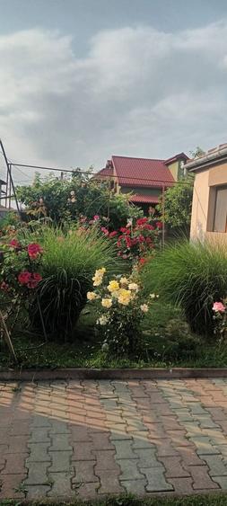 Casa de vanzare intr-un cartier Rezidential in Caransebes! - 4