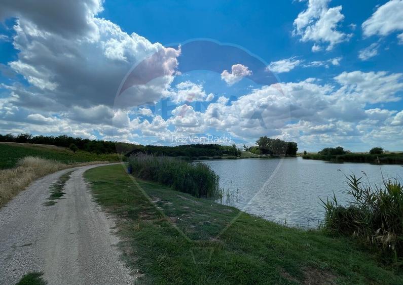 Teren investitie 4.350 mp | Balta Pasarea, langa Bucure?ti Teren investitie 4.350 mp | Balta Pasarea, langa Bucure?ti