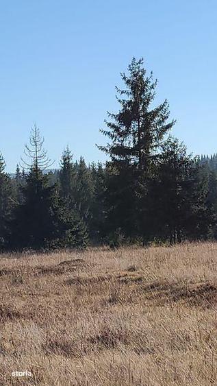 Vand 2 parcele Belis - 1