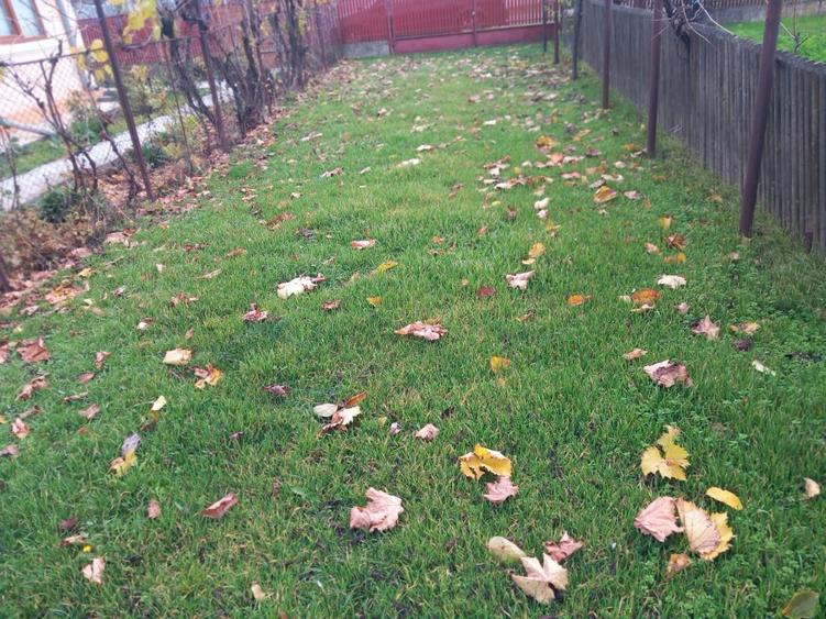 Casă de vânzare - jud. Buzău, Sat Lanurile, com. Ziduri - 3