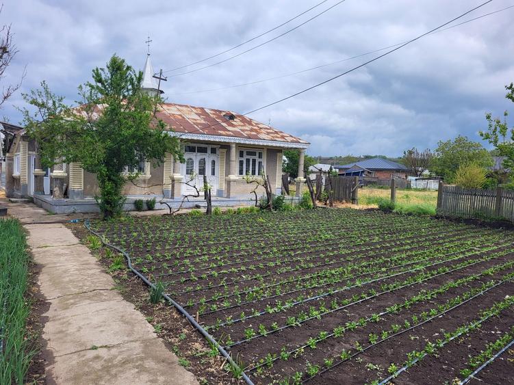 Casa cu teren de vanzare Matca - 3