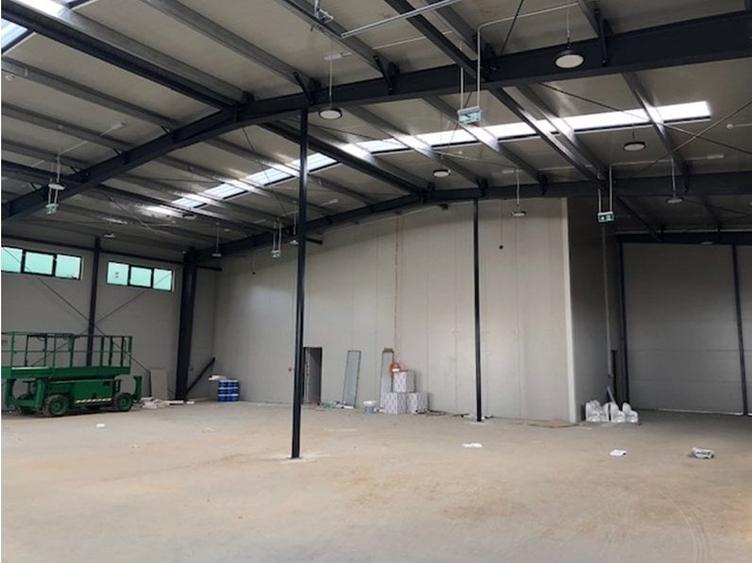 Hale de inchiriat CTPark Chitila - 3