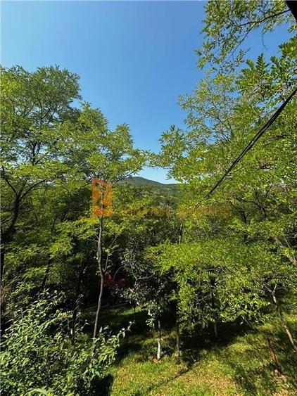 Ansamblu cabanute zona Cozieni - 29