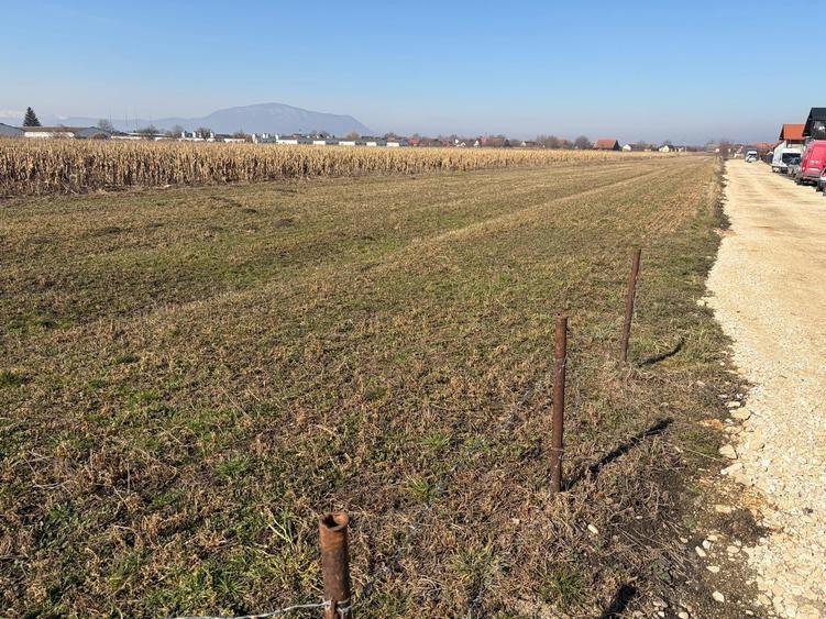 Teren Construcții intravilan de 6000 mp, în Stupini