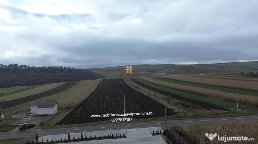 Teren de 14066 mp, în Mihoveni