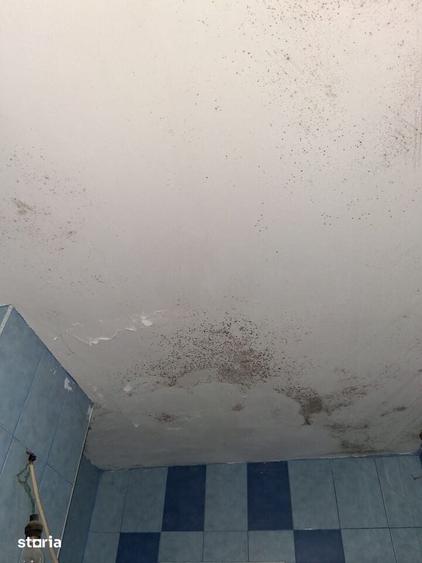 Apartament cu 3 camere decomandat în Nord