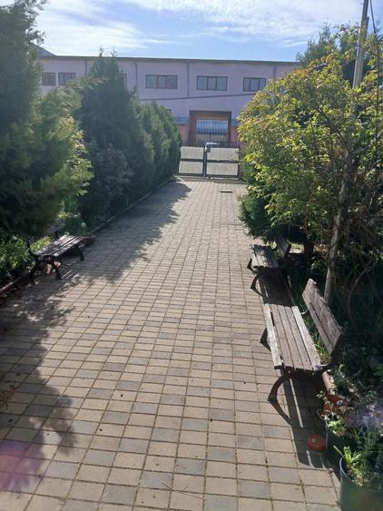 Casă cu Teren 1000 Mp în Mărăcineni