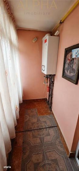 Casă cu 3 camere în Viișoara