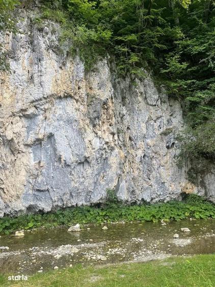 Teren Investitie Turistica Dambovicioara Baranga | 4.500 mp - 7