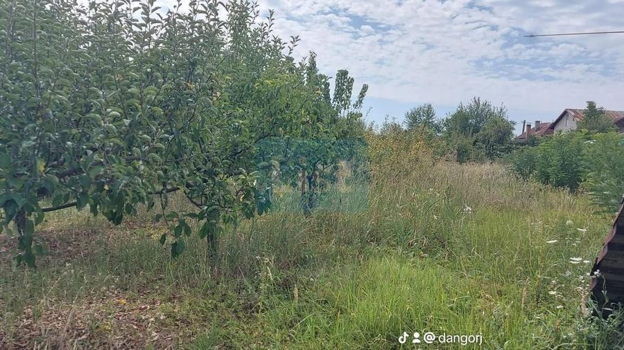 Casă cu 8 camere cu Canalizare în Drăguțești