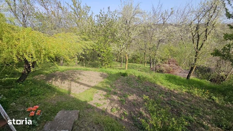 Casă cu 3 camere cu Teren 800 Mp în Boldești
