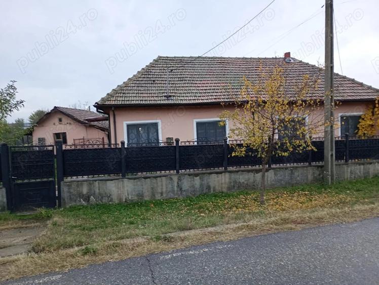 Vand casa ?i teren de 3000 mp in sat Dobra com. Balaci?a - 7