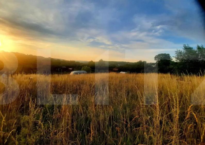 Teren intravilan 1129 mp, PUZ in lucru, in Borhanci - 7