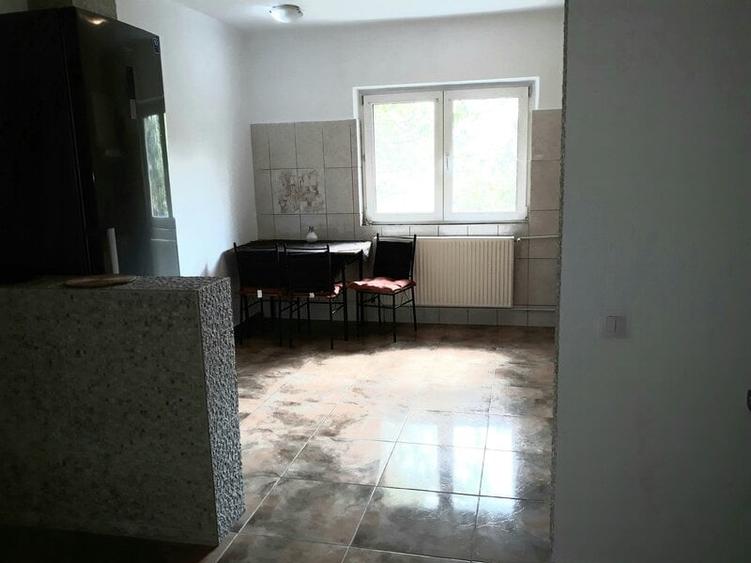 Colentina, Doamna Ghica, Parc Plumbuita, semistradal - 10